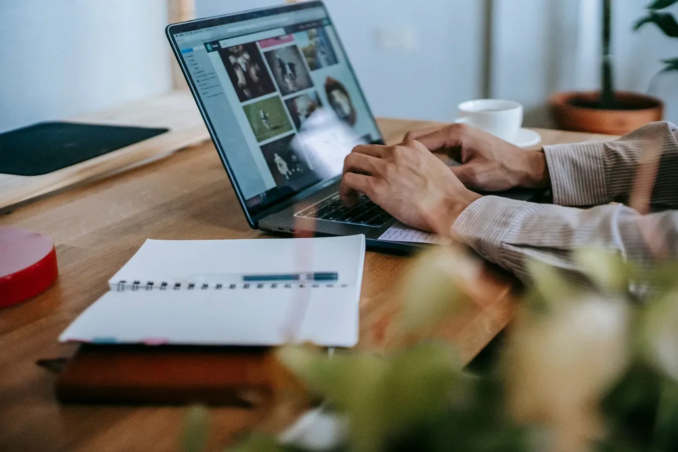 Custom software vs off-the-shelf: a cost analysis for Belgian SMEs